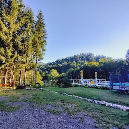 Cabana Cerbu Hotel Bozovici Екстериор снимка