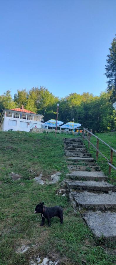 Cabana Cerbu Bozovici Екстериор снимка